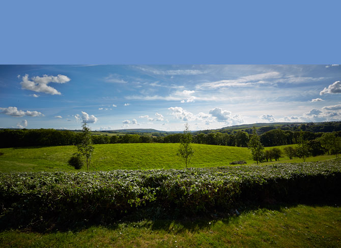 Berry Banks Cottage Luxury Self-Catering Accommodation Riverside View, Whitby